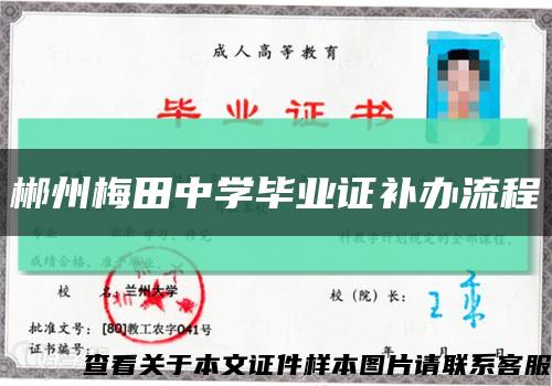 郴州梅田中学毕业证补办流程缩略图