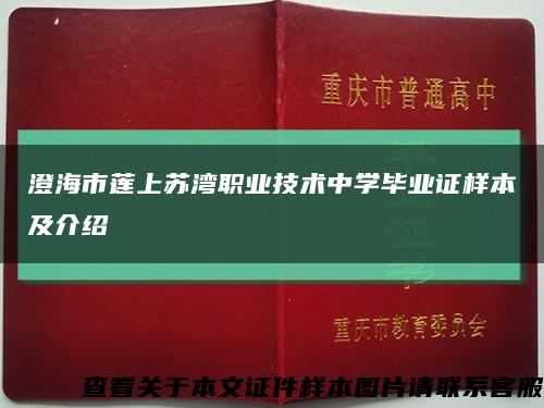 澄海市莲上苏湾职业技术中学毕业证样本及介绍缩略图