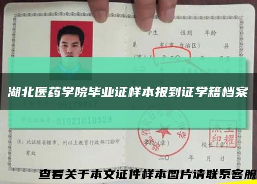 湖北医药学院毕业证样本报到证学籍档案缩略图