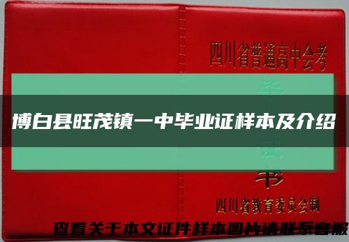 博白县旺茂镇一中毕业证样本及介绍缩略图