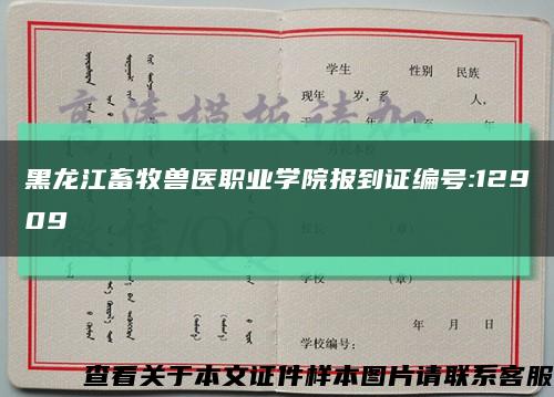 黑龙江畜牧兽医职业学院报到证编号:12909缩略图