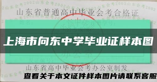 上海市向东中学毕业证样本图缩略图