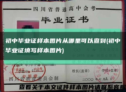 初中毕业证样本图片从哪里可以查到(初中毕业证填写样本图片)缩略图