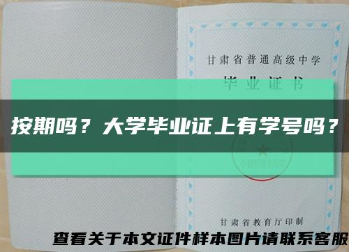 按期吗？大学毕业证上有学号吗？缩略图