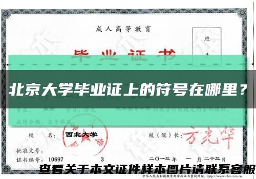 北京大学毕业证上的符号在哪里？缩略图
