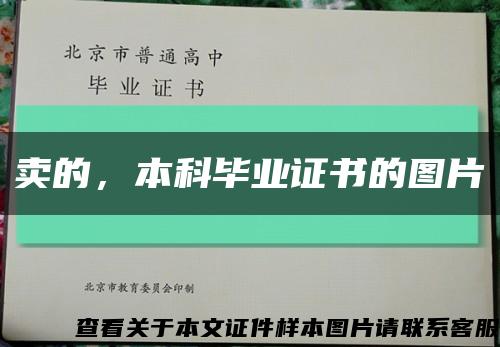 卖的，本科毕业证书的图片缩略图