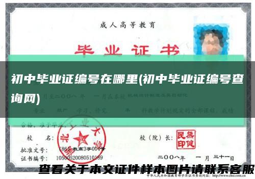 初中毕业证编号在哪里(初中毕业证编号查询网)缩略图