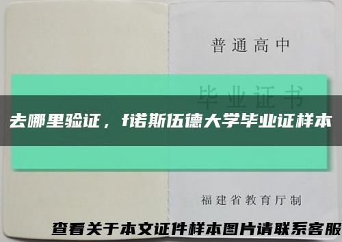 去哪里验证，f诺斯伍德大学毕业证样本缩略图