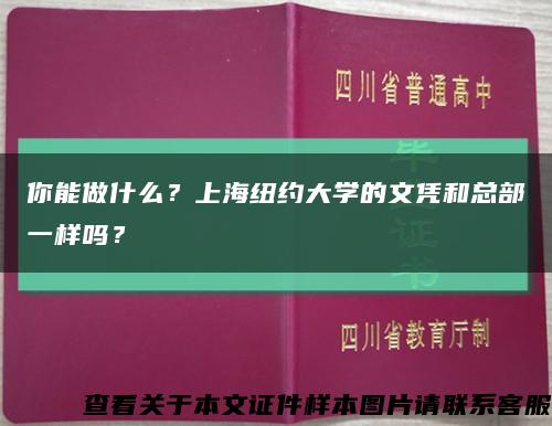 你能做什么？上海纽约大学的文凭和总部一样吗？缩略图