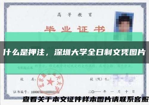 什么是押注，深圳大学全日制文凭图片缩略图