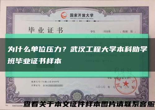 为什么单位压力？武汉工程大学本科助学班毕业证书样本缩略图
