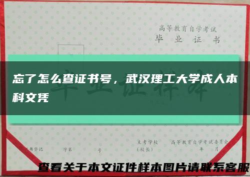 忘了怎么查证书号，武汉理工大学成人本科文凭缩略图