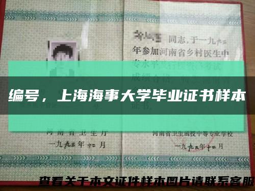 编号，上海海事大学毕业证书样本缩略图