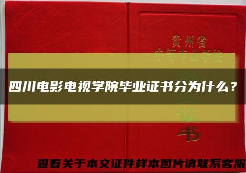 四川电影电视学院毕业证书分为什么？缩略图