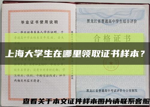 上海大学生在哪里领取证书样本？缩略图