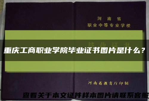 重庆工商职业学院毕业证书图片是什么？缩略图