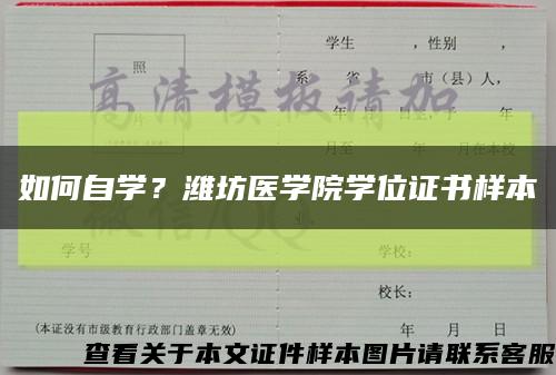 如何自学？潍坊医学院学位证书样本缩略图