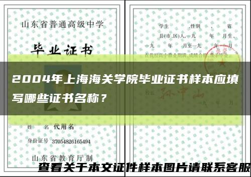 2004年上海海关学院毕业证书样本应填写哪些证书名称？缩略图