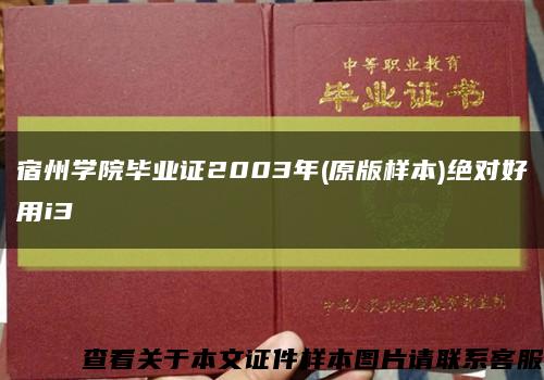 宿州学院毕业证2003年(原版样本)绝对好用i3缩略图