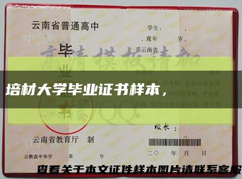 培材大学毕业证书样本，배재대학 졸업장缩略图