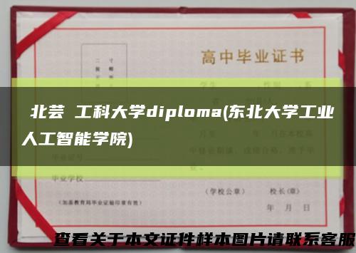 東北芸術工科大学diploma(东北大学工业人工智能学院)缩略图