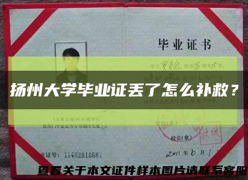 扬州大学毕业证丢了怎么补救？缩略图