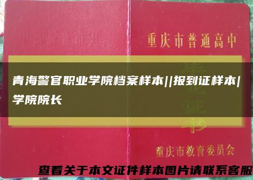 青海警官职业学院档案样本||报到证样本|学院院长缩略图