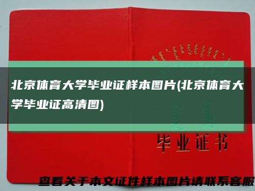 北京体育大学毕业证样本图片(北京体育大学毕业证高清图)缩略图