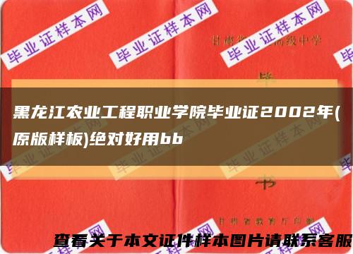 黑龙江农业工程职业学院毕业证2002年(原版样板)绝对好用bb缩略图