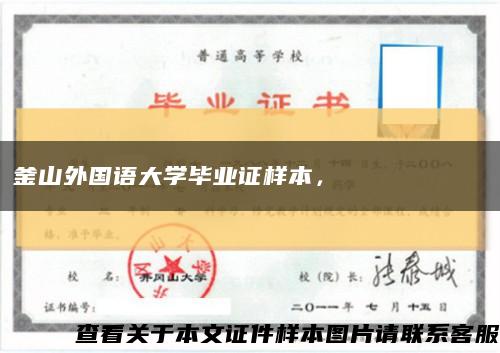 釜山外国语大学毕业证样本，부산외국어대학교 졸업장缩略图