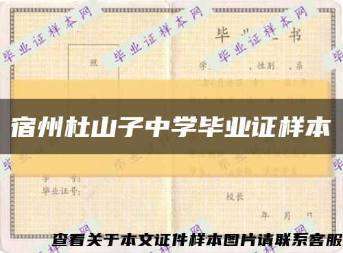 宿州杜山子中学毕业证样本缩略图