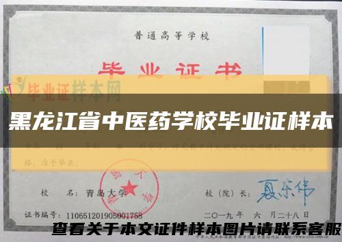 黑龙江省中医药学校毕业证样本缩略图