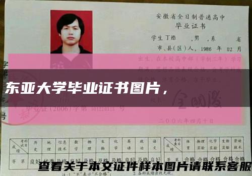 东亚大学毕业证书图片，동아대학교 졸업장缩略图