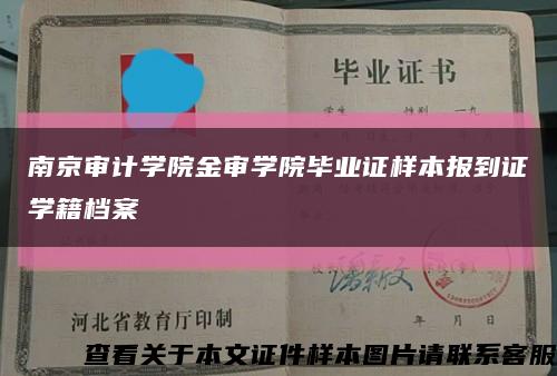南京审计学院金审学院毕业证样本报到证学籍档案缩略图