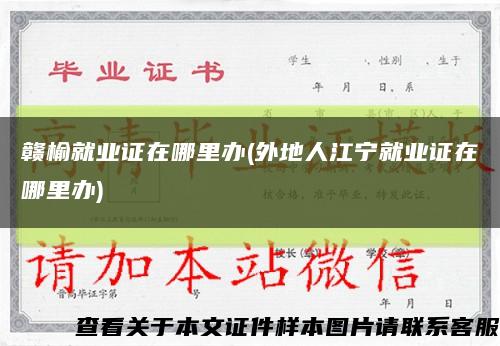 赣榆就业证在哪里办(外地人江宁就业证在哪里办)缩略图