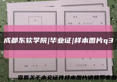 成都东软学院|毕业证|样本图片q3缩略图
