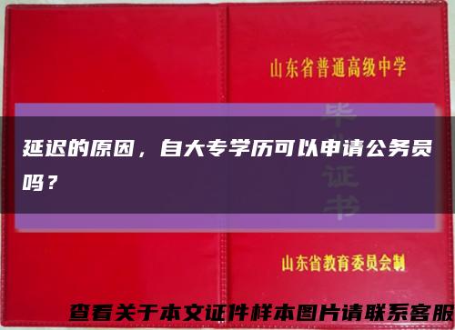 延迟的原因，自大专学历可以申请公务员吗？缩略图