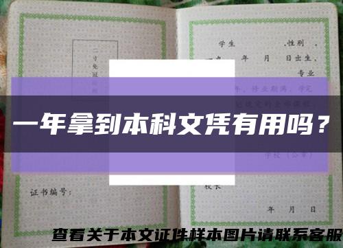 一年拿到本科文凭有用吗？缩略图