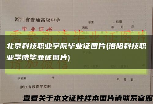北京科技职业学院毕业证图片(洛阳科技职业学院毕业证图片)缩略图