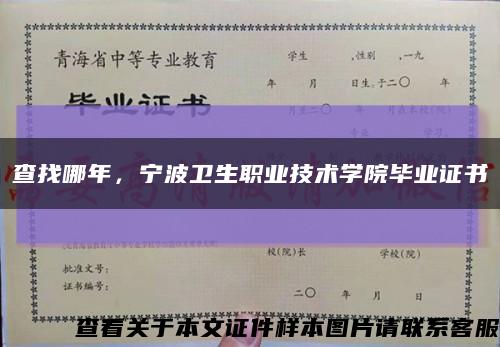 查找哪年，宁波卫生职业技术学院毕业证书缩略图