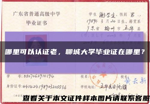 哪里可以认证老，聊城大学毕业证在哪里？缩略图
