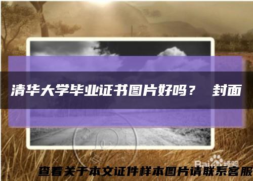 清华大学毕业证书图片好吗？ 封面缩略图