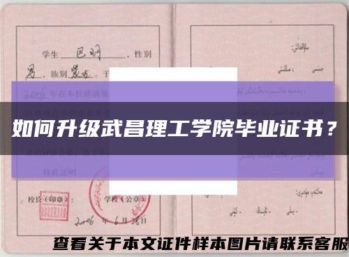 如何升级武昌理工学院毕业证书？缩略图