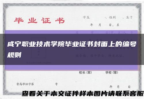 咸宁职业技术学院毕业证书封面上的编号规则缩略图