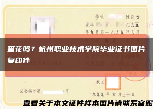 查花吗？杭州职业技术学院毕业证书图片复印件缩略图