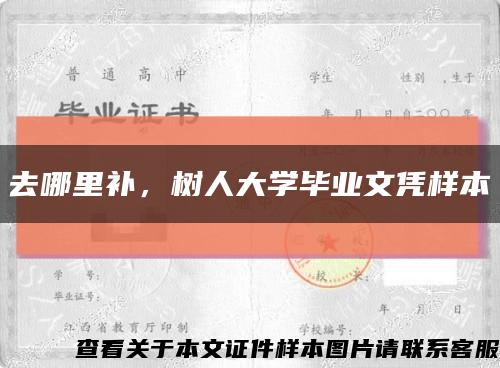 去哪里补，树人大学毕业文凭样本缩略图