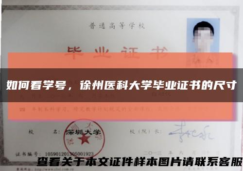 如何看学号，徐州医科大学毕业证书的尺寸缩略图