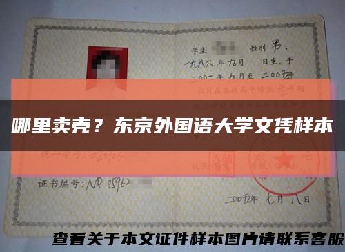 哪里卖壳？东京外国语大学文凭样本缩略图