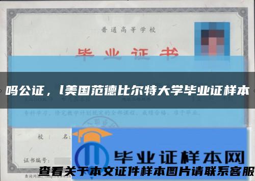 吗公证，l美国范德比尔特大学毕业证样本缩略图