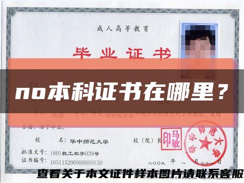 no本科证书在哪里？缩略图